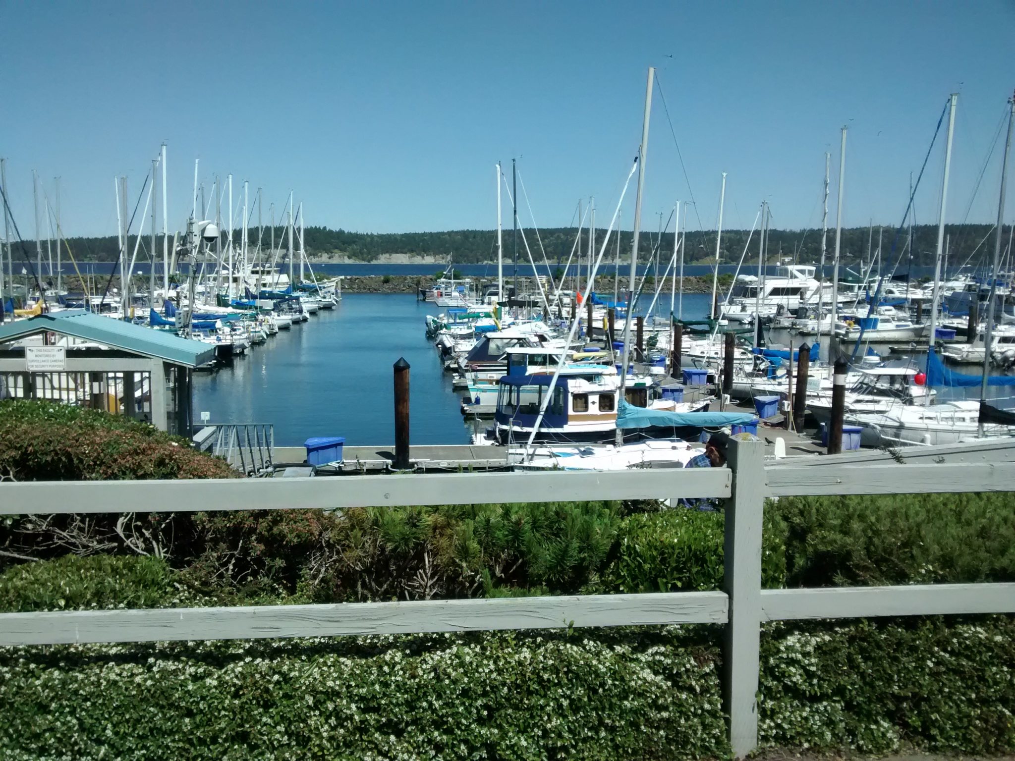 john wayne marina yacht club